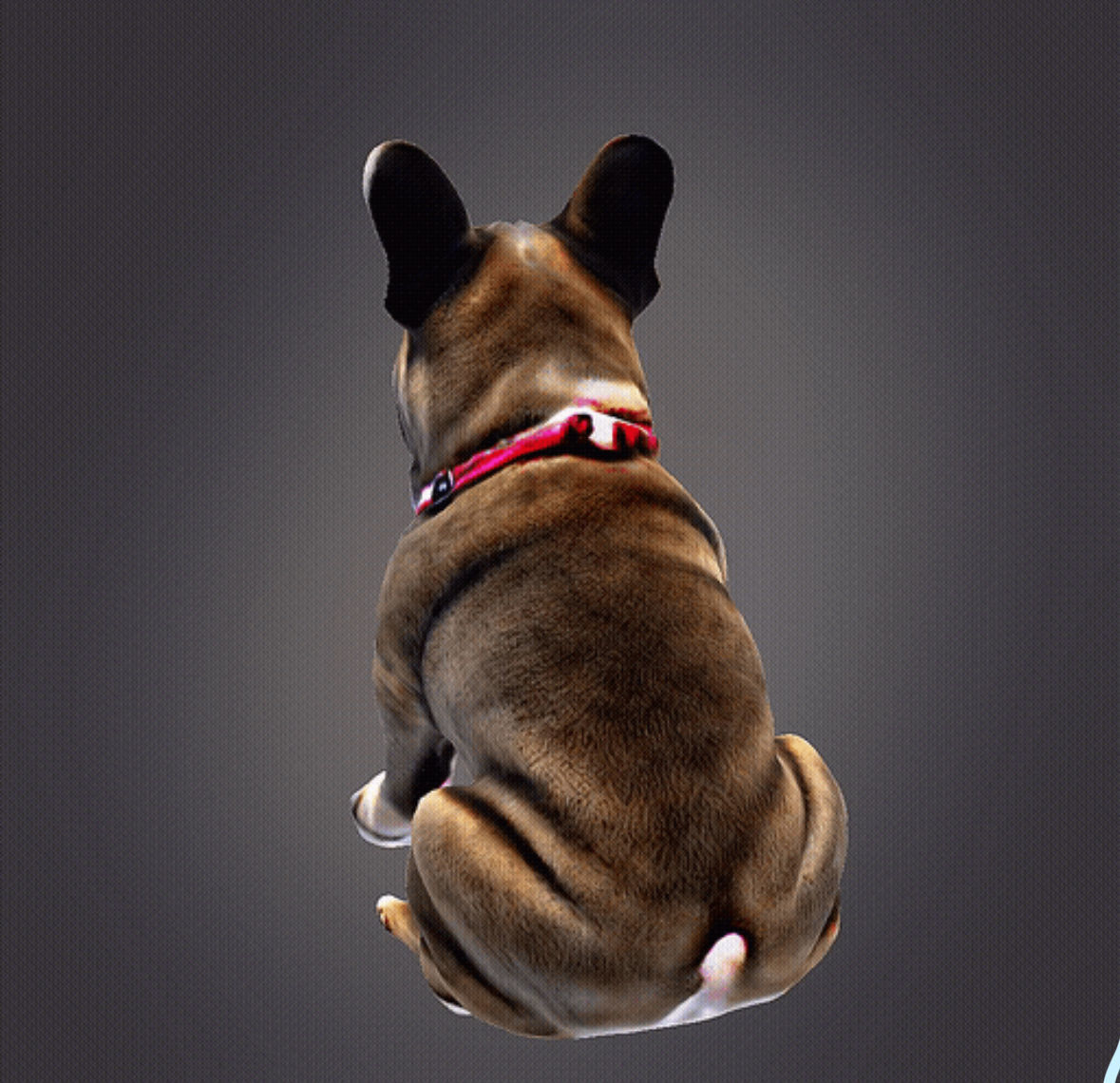 French bulldog 3D print model_3