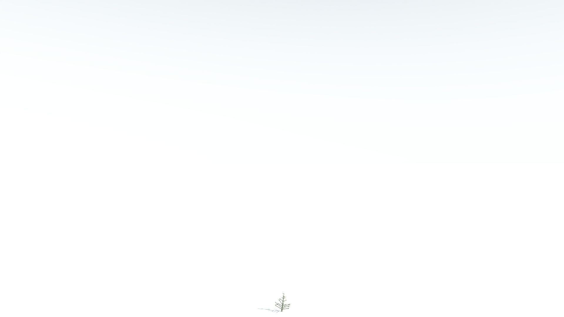 EVERYPlant Portia Tree LowPoly 3 --14 Models-- Low-poly 3D model_27