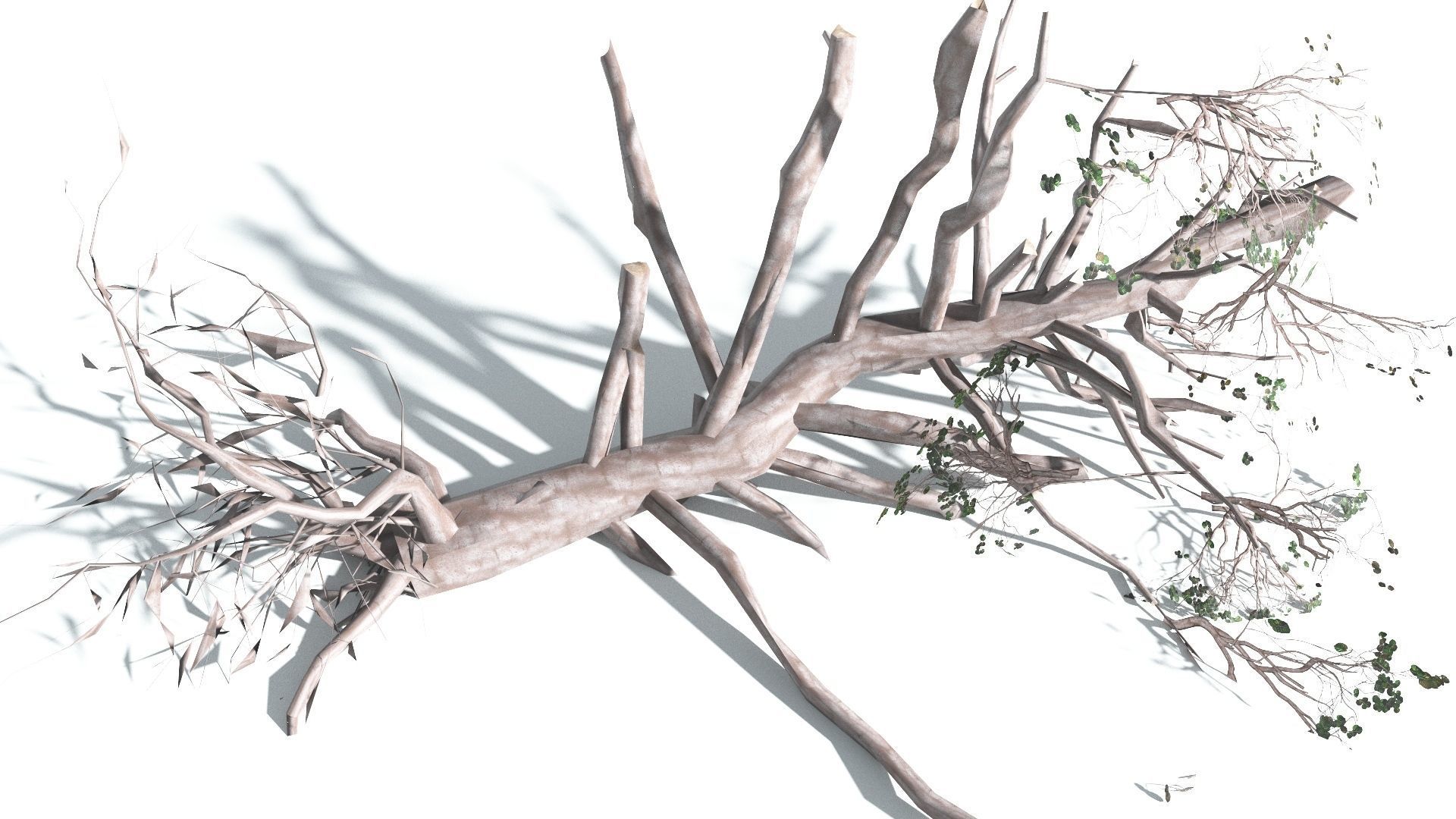 EVERYPlant Portia Tree LowPoly 3 --14 Models-- Low-poly 3D model_20