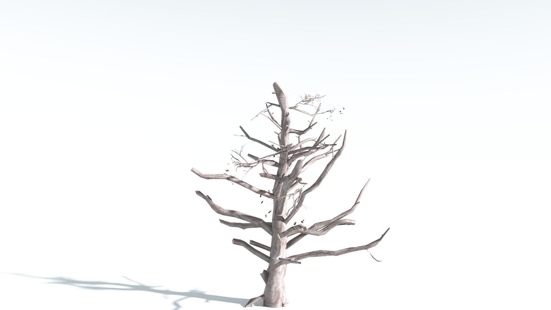 EVERYPlant Portia Tree LowPoly 3 --14 Models-- Low-poly 3D model_17