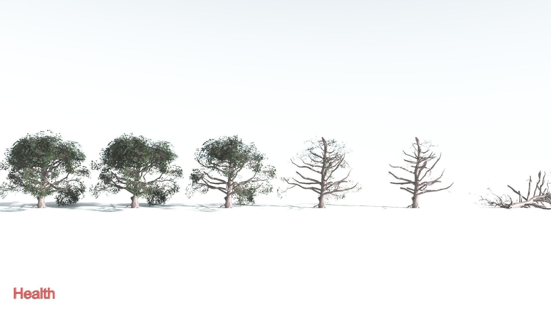 EVERYPlant Portia Tree LowPoly 3 --14 Models-- Low-poly 3D model_2