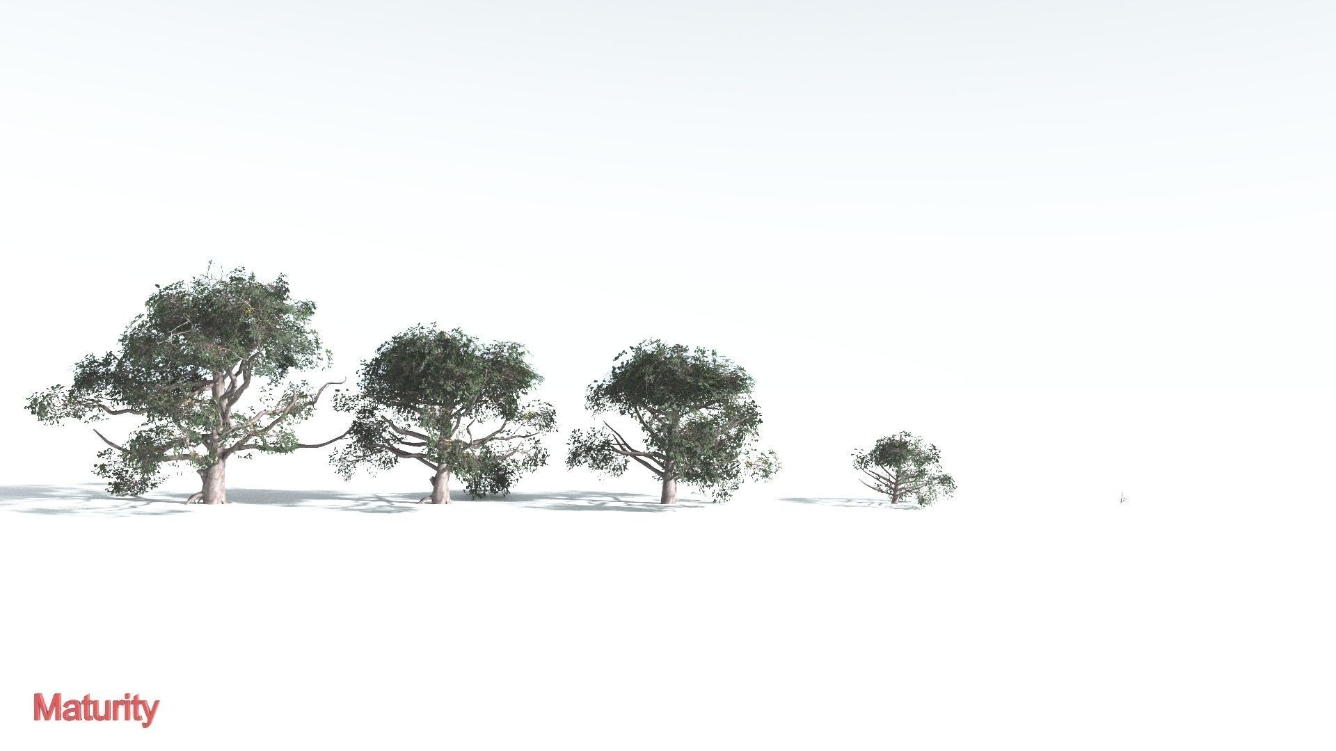 EVERYPlant Portia Tree LowPoly 3 --14 Models-- Low-poly 3D model_3