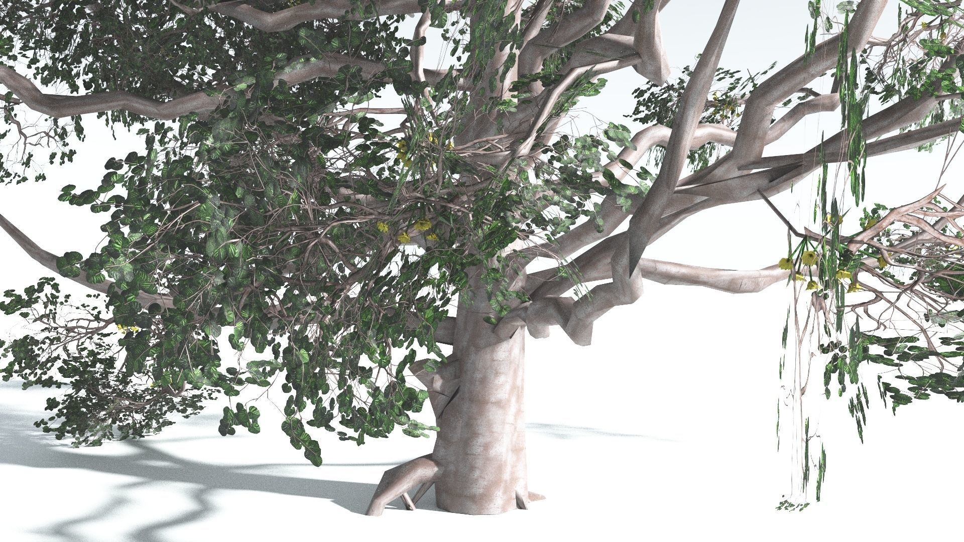 EVERYPlant Portia Tree LowPoly 3 --14 Models-- Low-poly 3D model_22