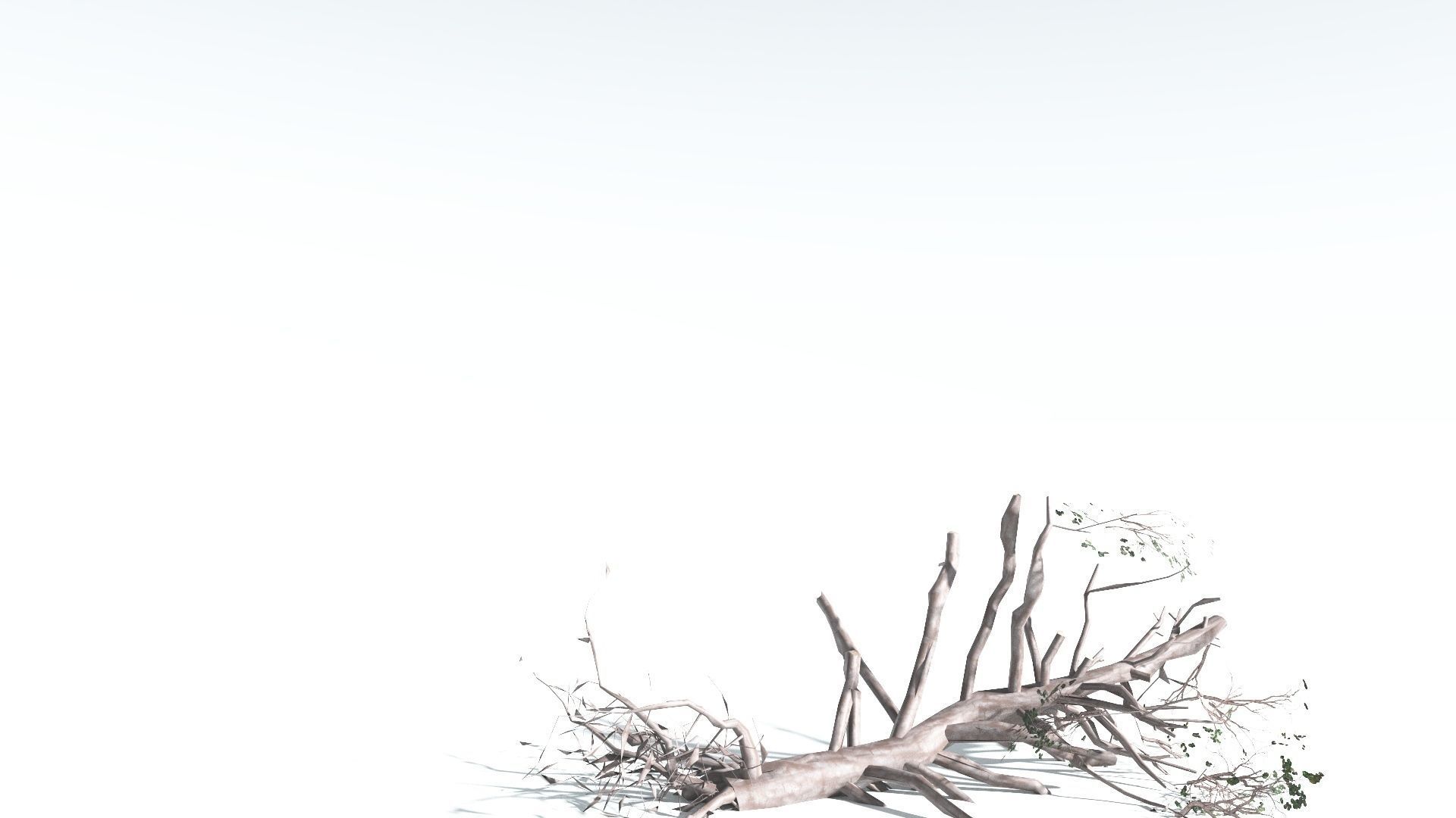 EVERYPlant Portia Tree LowPoly 3 --14 Models-- Low-poly 3D model_19