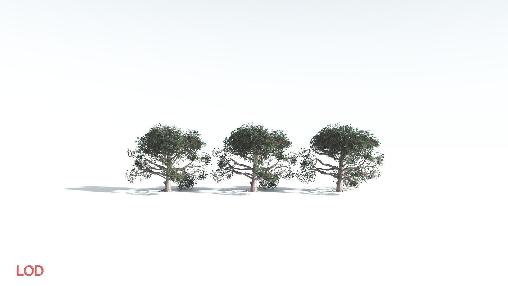 EVERYPlant Portia Tree LowPoly 3 --14 Models-- Low-poly 3D model_4