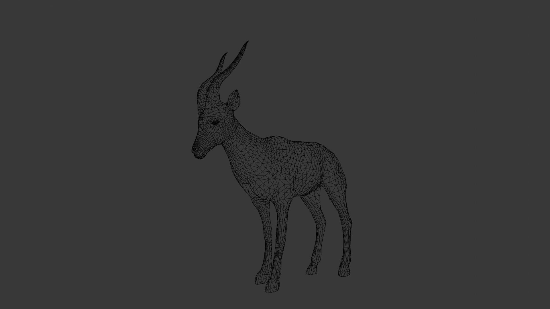 Goat Animated 3D Model  Low-poly 3D model_15