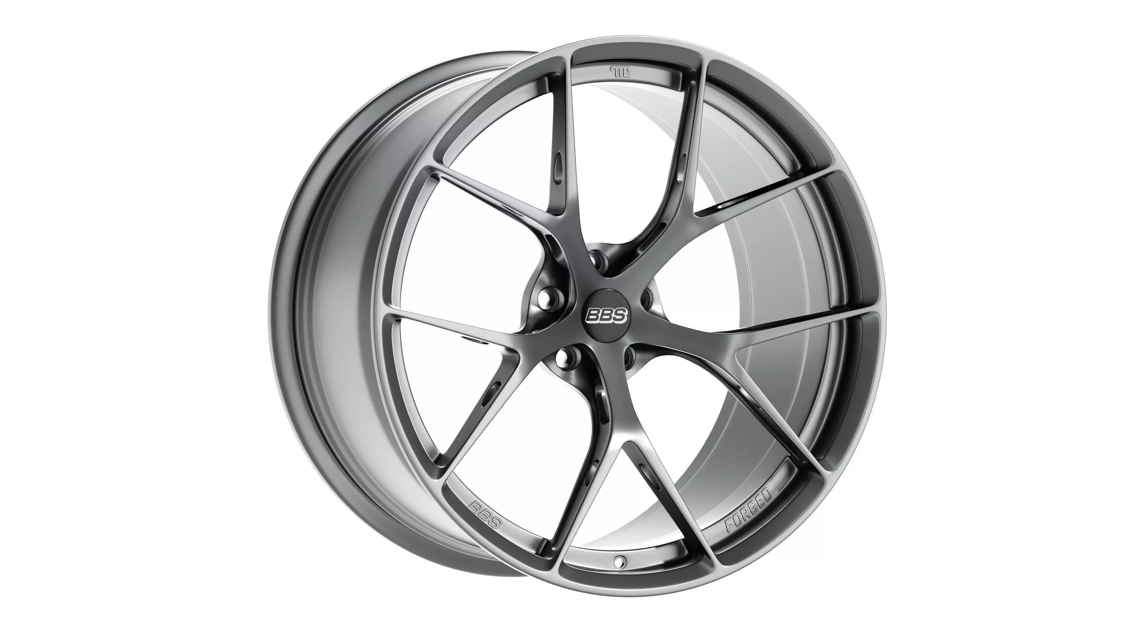 BBS FIR Low-poly 3D model_0