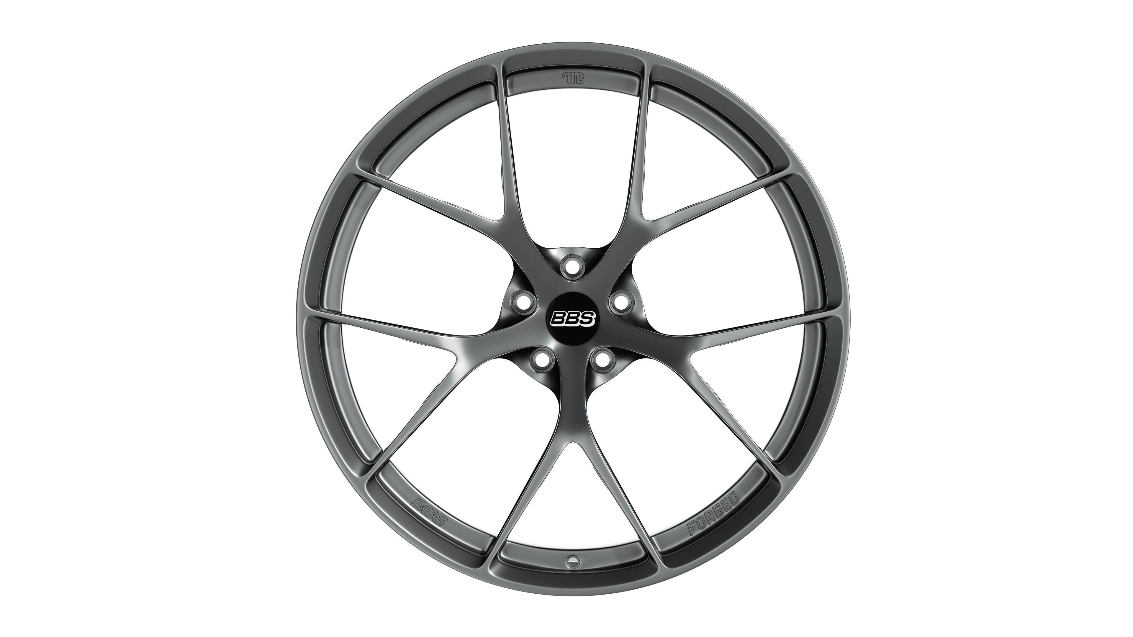 BBS FIR Low-poly 3D model_2