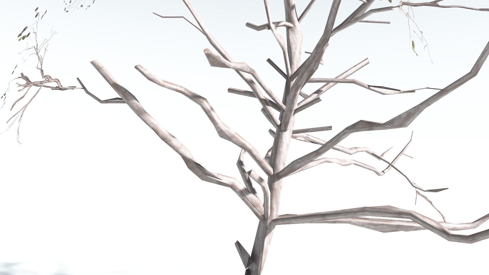 EVERYPlant Portia Tree LowPoly 4 --14 Models-- Low-poly 3D model_18