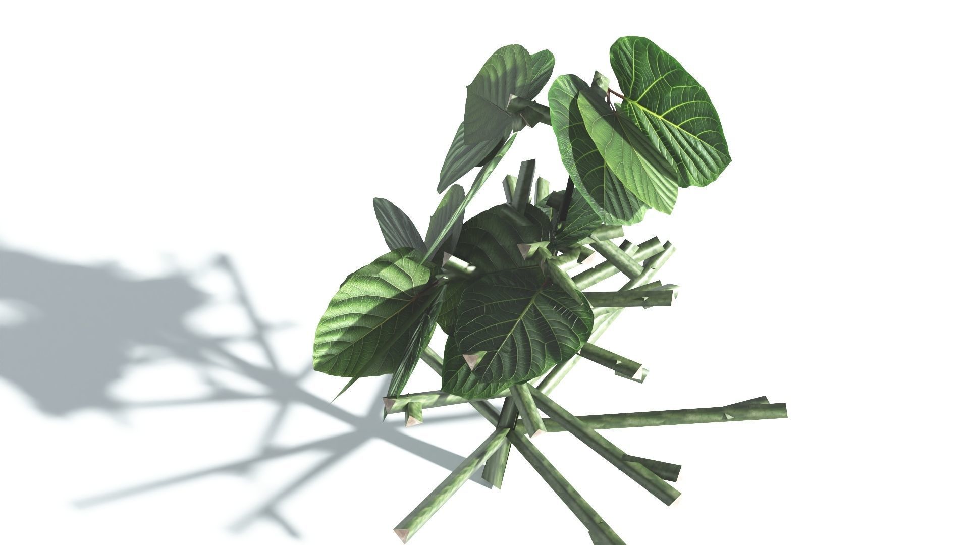 EVERYPlant Portia Tree LowPoly 4 --14 Models-- Low-poly 3D model_28