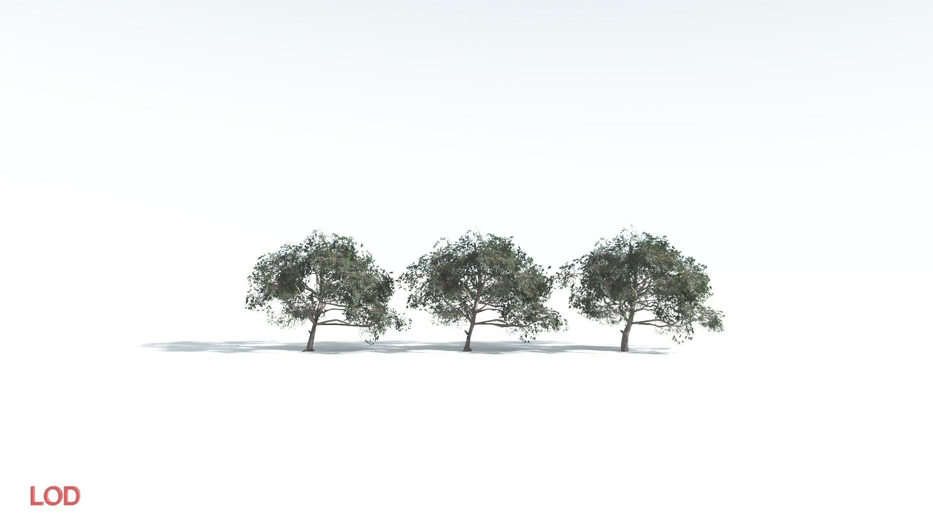 EVERYPlant Portia Tree LowPoly 4 --14 Models-- Low-poly 3D model_4