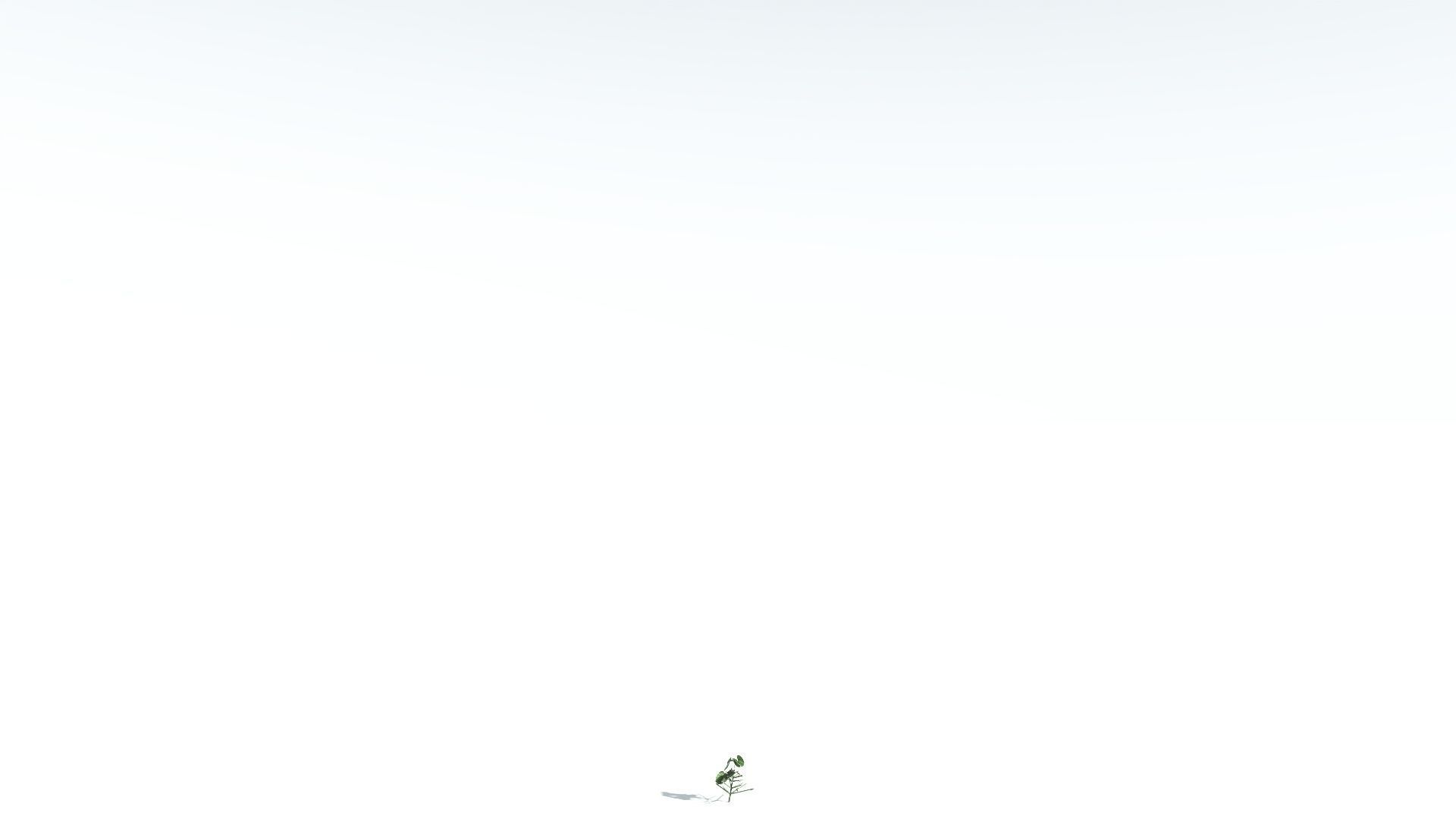 EVERYPlant Portia Tree LowPoly 4 --14 Models-- Low-poly 3D model_27