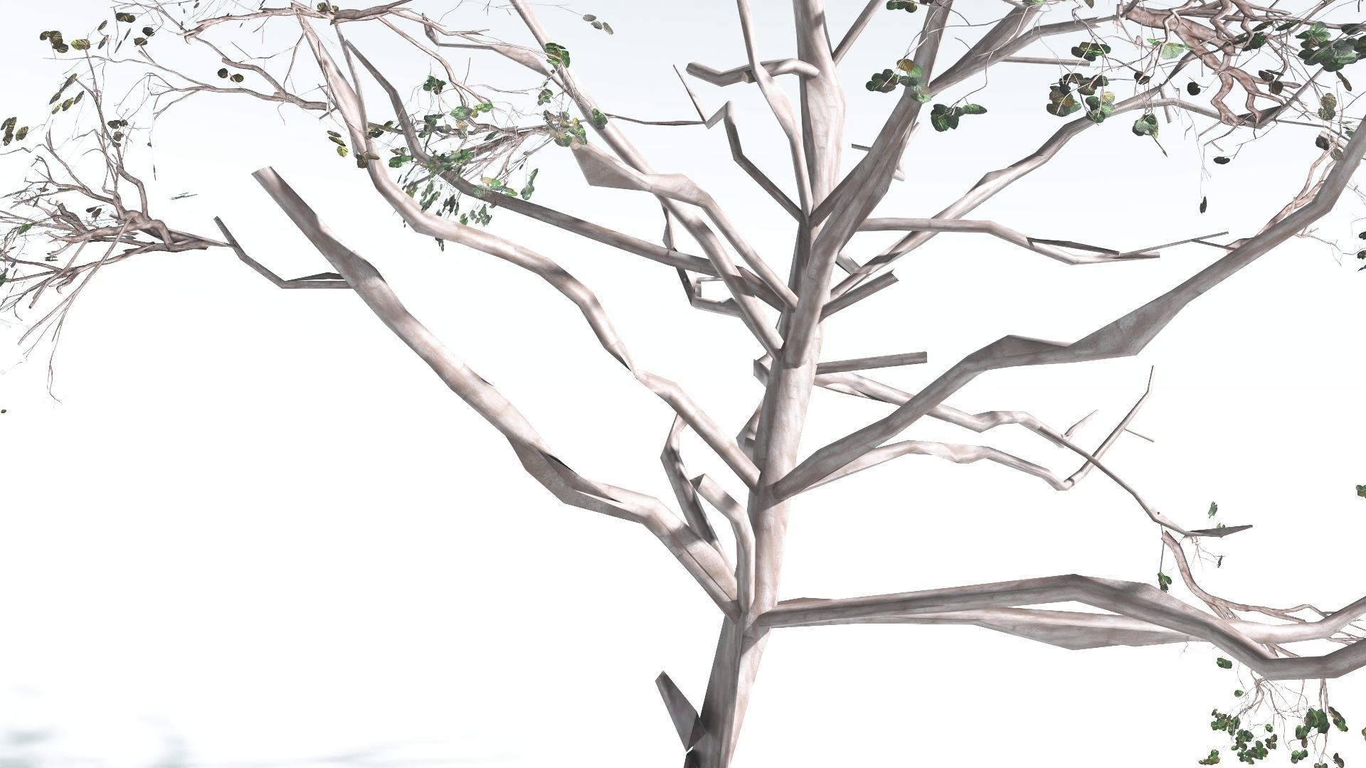 EVERYPlant Portia Tree LowPoly 4 --14 Models-- Low-poly 3D model_16