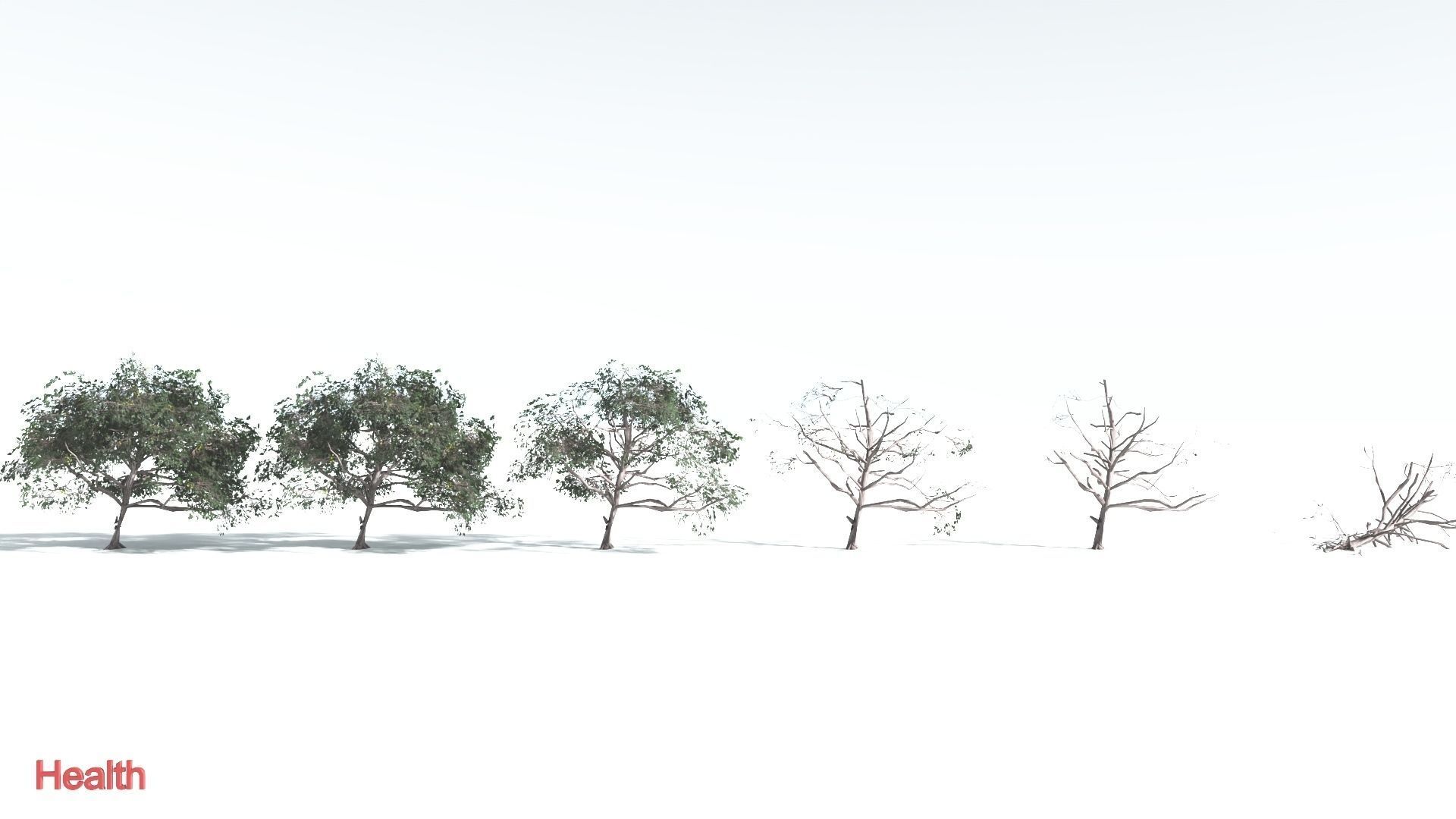 EVERYPlant Portia Tree LowPoly 4 --14 Models-- Low-poly 3D model_2