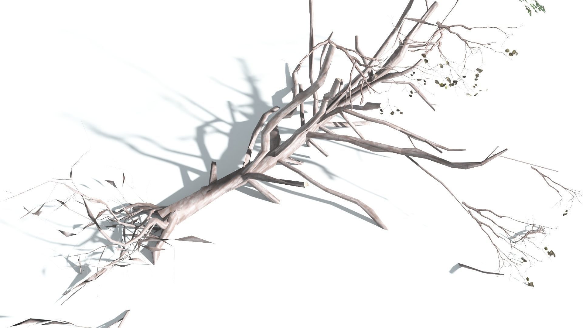 EVERYPlant Portia Tree LowPoly 4 --14 Models-- Low-poly 3D model_20