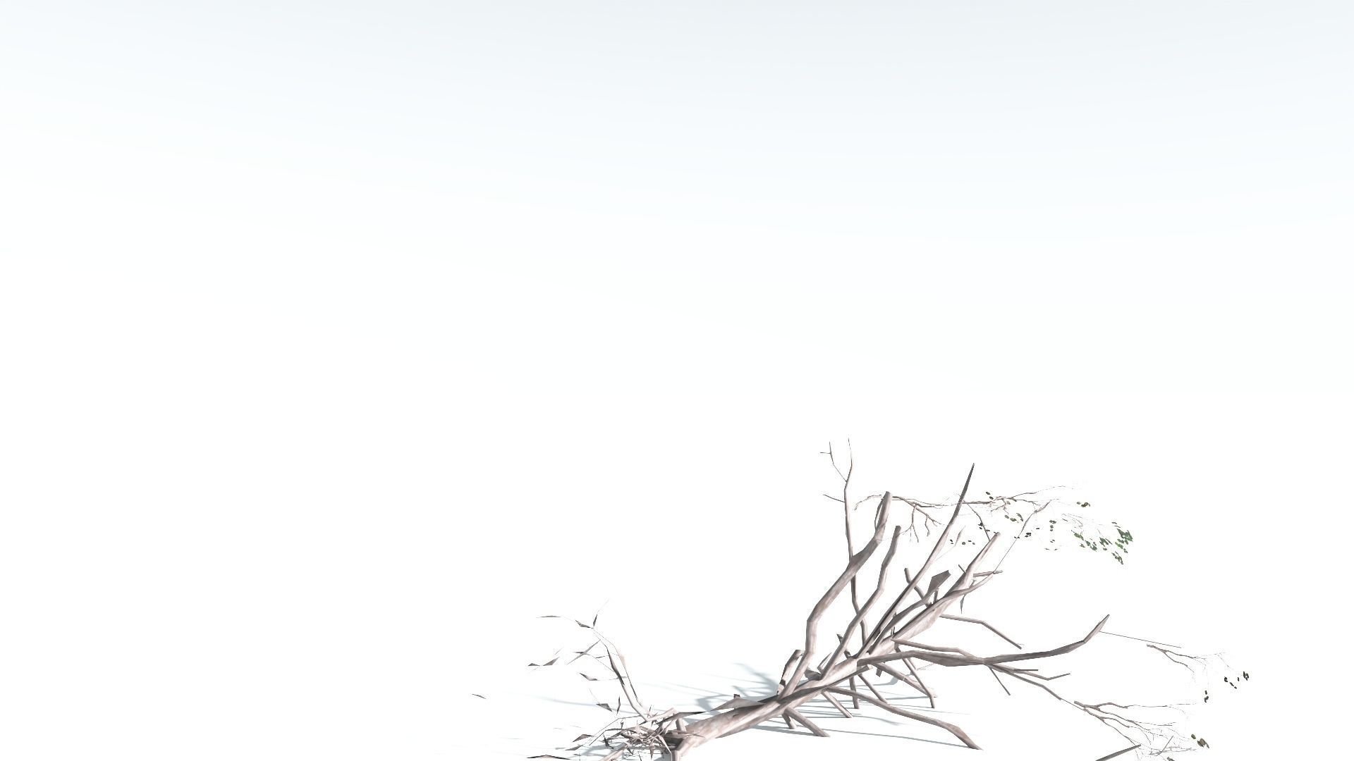 EVERYPlant Portia Tree LowPoly 4 --14 Models-- Low-poly 3D model_19