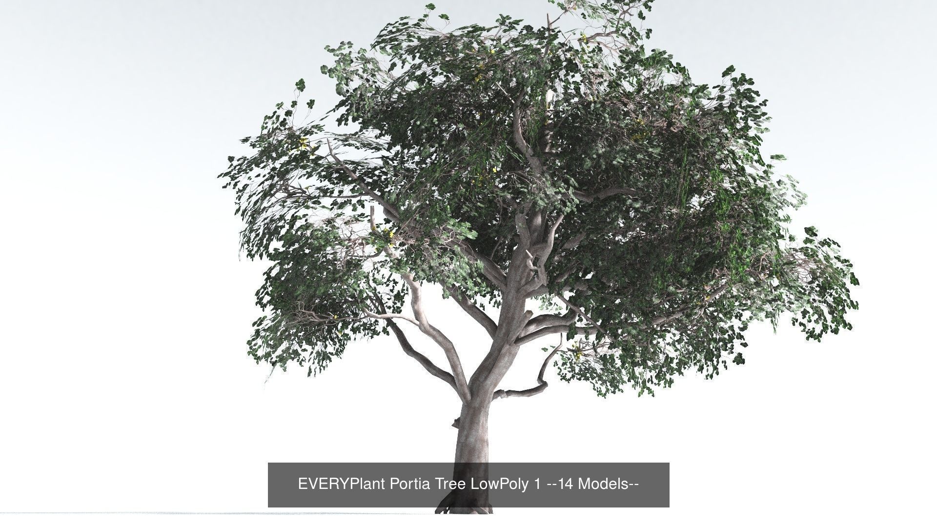 EVERYPlant Psaronius Tree Fern LowPoly Bundle --12 Models-- 3D Model Collection_1