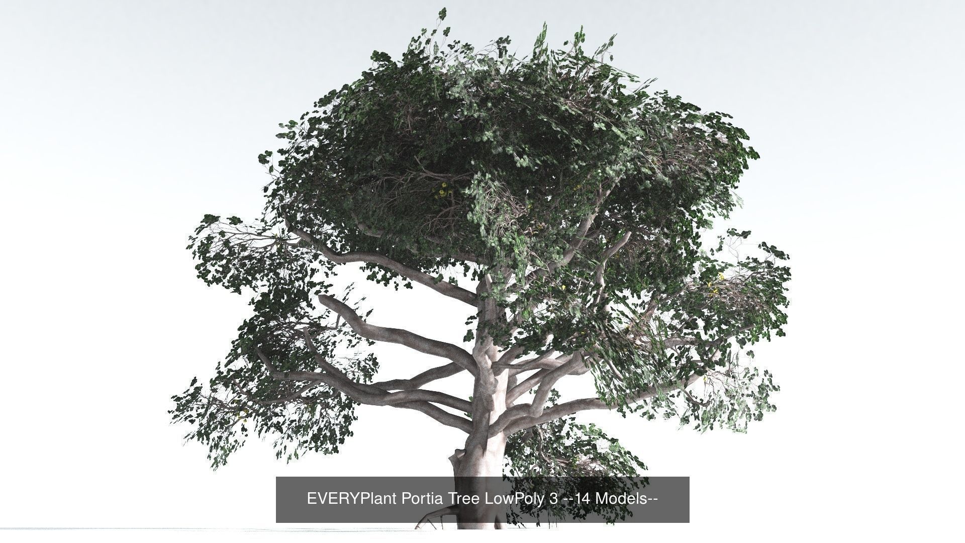 EVERYPlant Psaronius Tree Fern LowPoly Bundle --12 Models-- 3D Model Collection_3