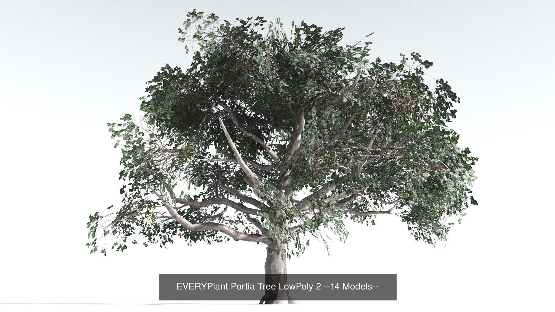 EVERYPlant Psaronius Tree Fern LowPoly Bundle --12 Models-- 3D Model Collection_2