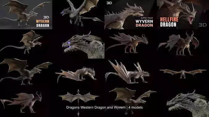 Dragons Western Dragon and Wyvern 3D Model Collection