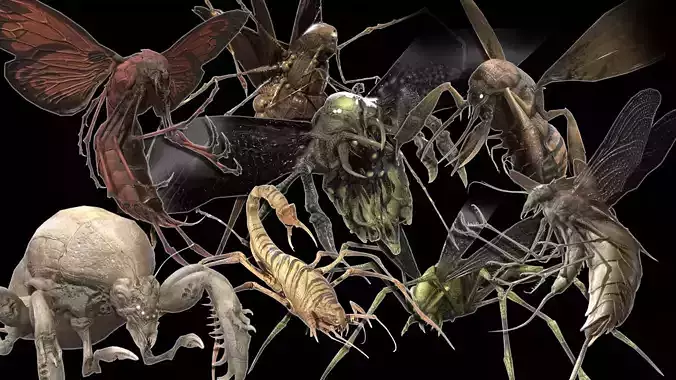 a large collection of scary insects 