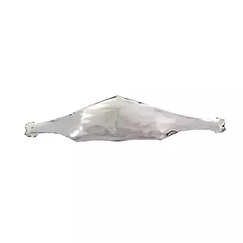 tiara silver fish Free 3D print model