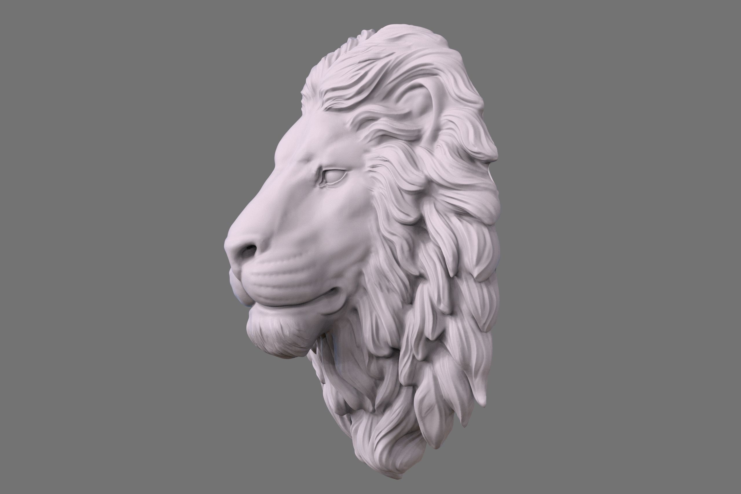 3DLION 3D model_2