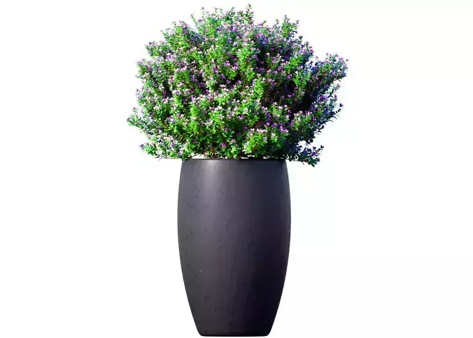 Decorative garden tree flowerbed shrub Indoor plant balcony