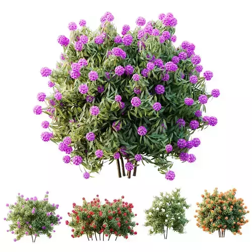 HQ Plants Rhododendron Shrub Arboreum Bush 3D model
