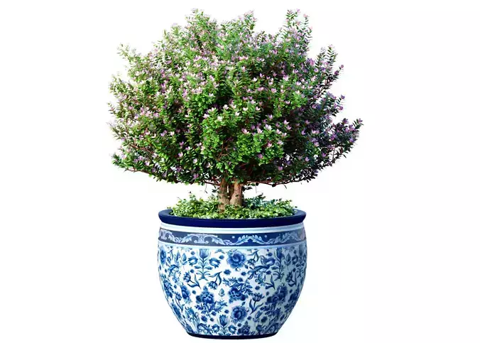Decorative tree plant shrub porcelain vase pot Provence style