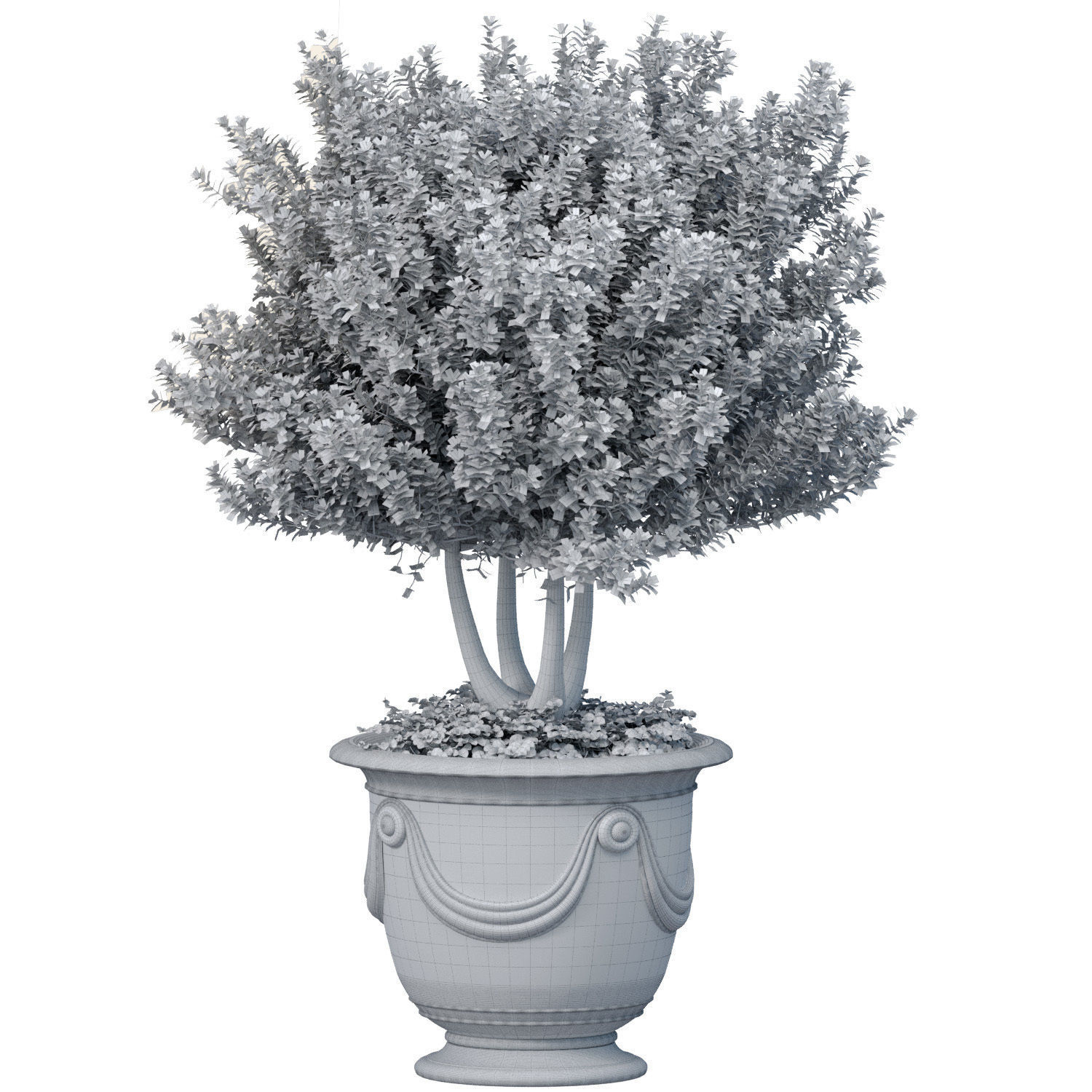 Ornamental tree is a plant classic potted Indoor plant balcony 3D model_2