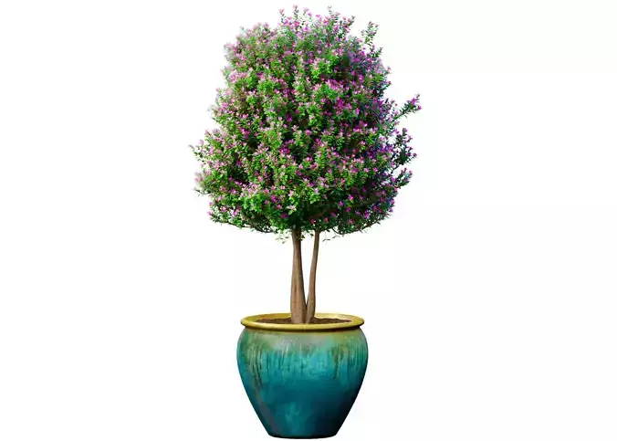 Decorative garden tree lilac flowers potted vase Provence style