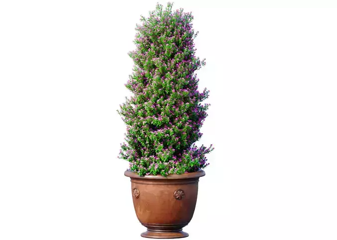 Decorative tree classic garden pot Indoor plant balcony