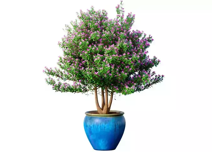 Decorative garden tree potted decoration Provence style