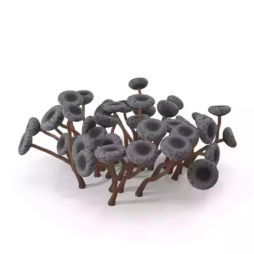 Physarum nutans mushrooms 3D model