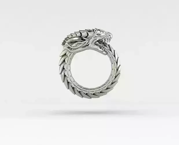 Dragon 3d nice ring