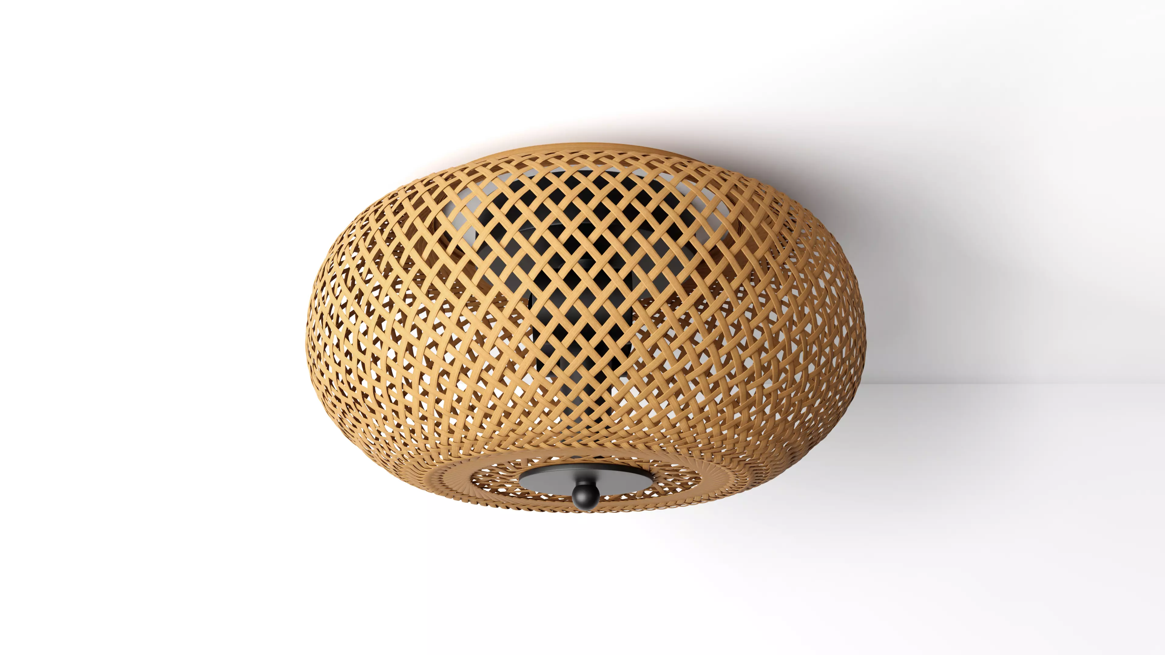 Bauro Ceiling Lamp 3D model_0