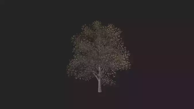 Tree 3D Model 014