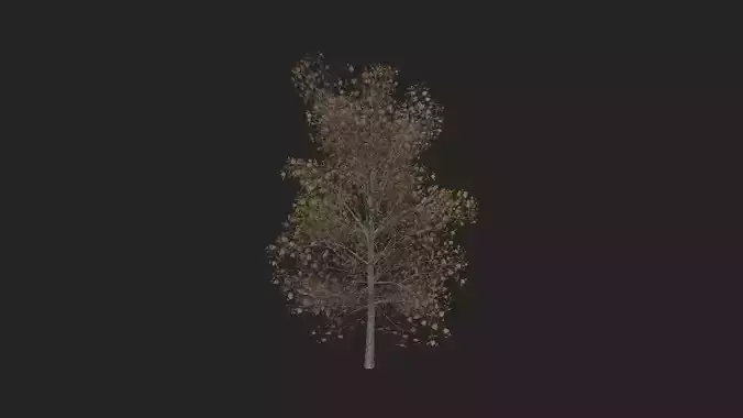 Tree 3D Model 015