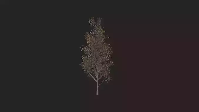 Tree 3D Model 016