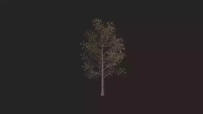 Tree 3D Model 017