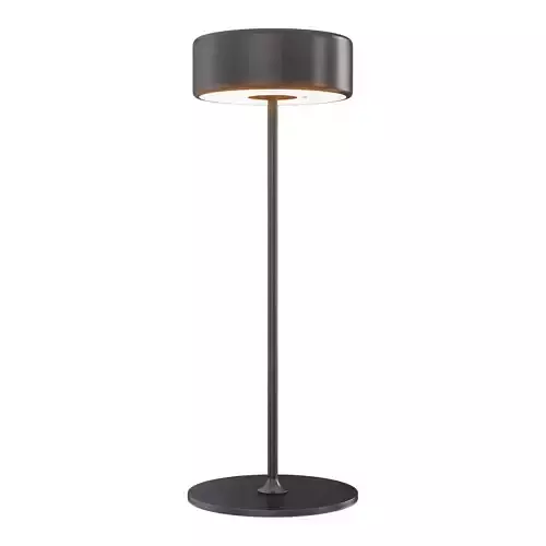 Rechargeable AI Collaboration Light