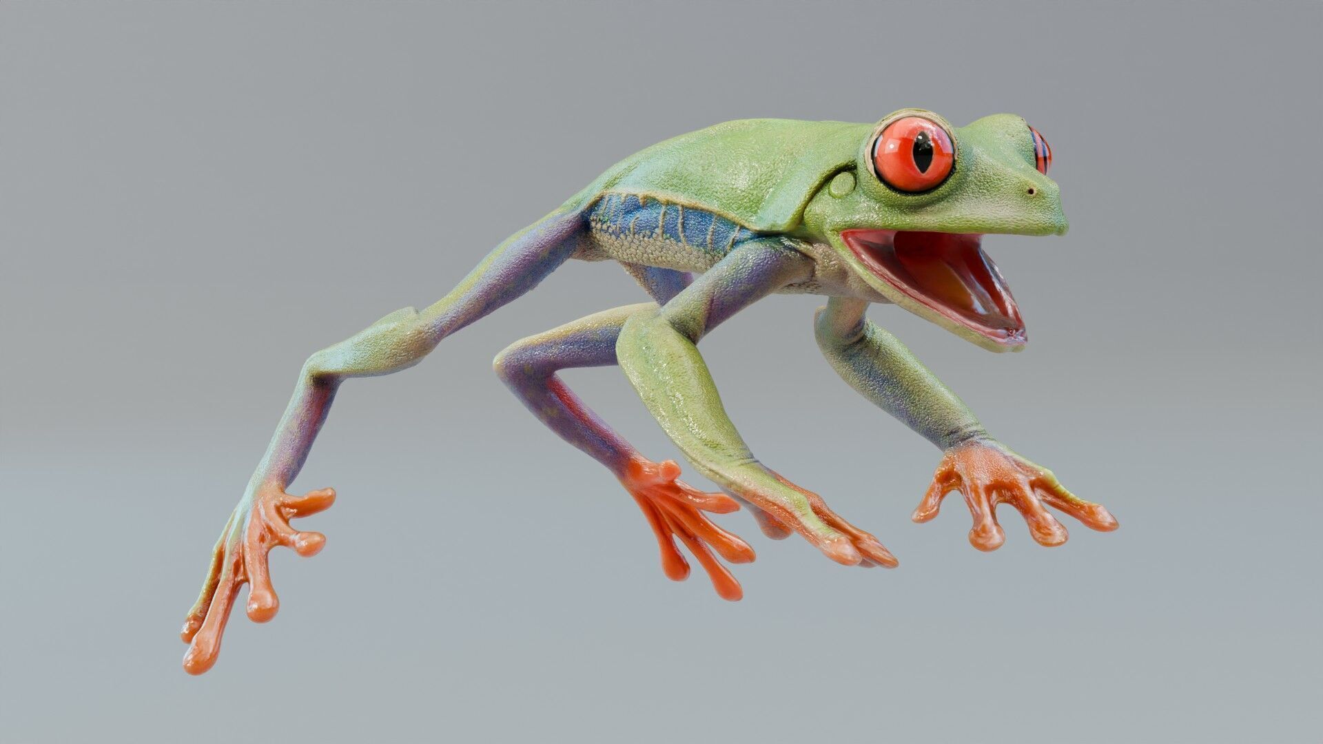 Red Tree Frog Low-poly 3D model_31