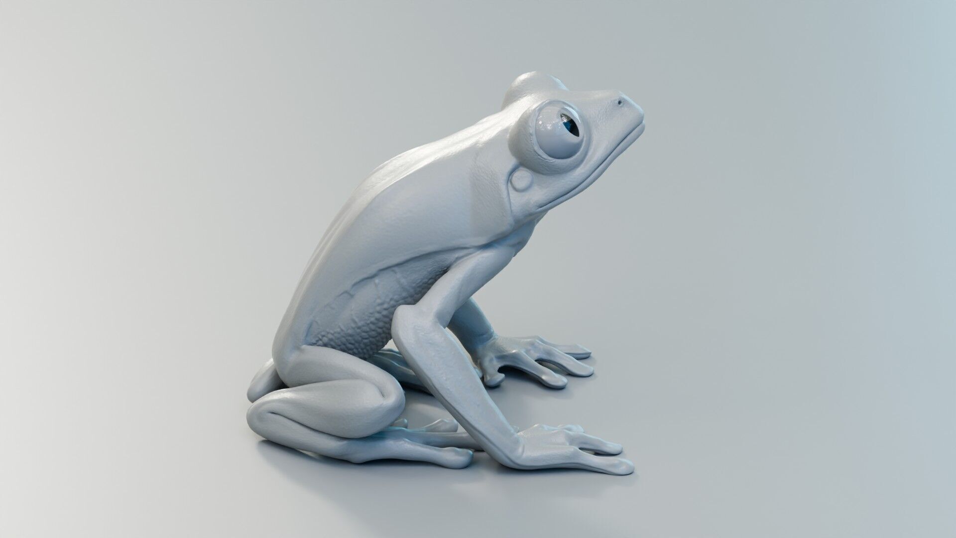 Red Tree Frog Low-poly 3D model_14