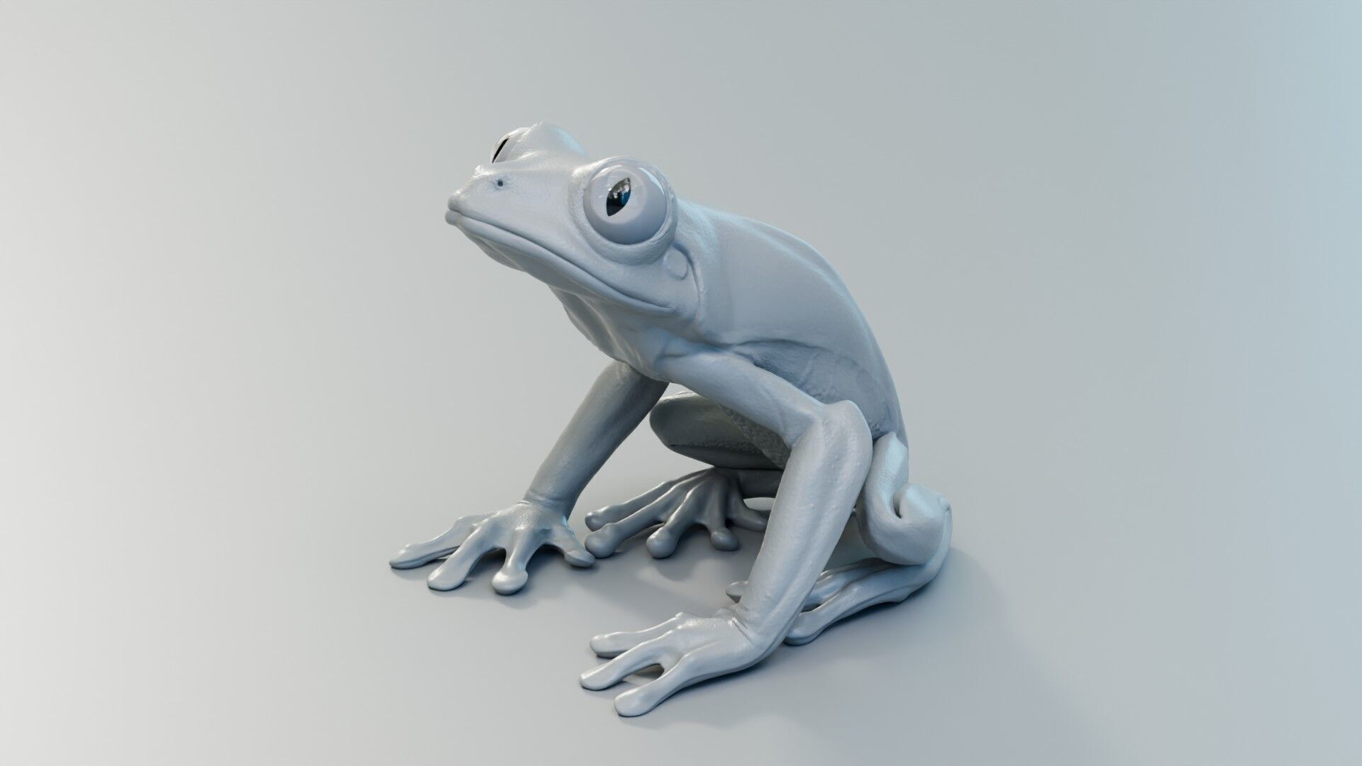 Red Tree Frog Low-poly 3D model_28