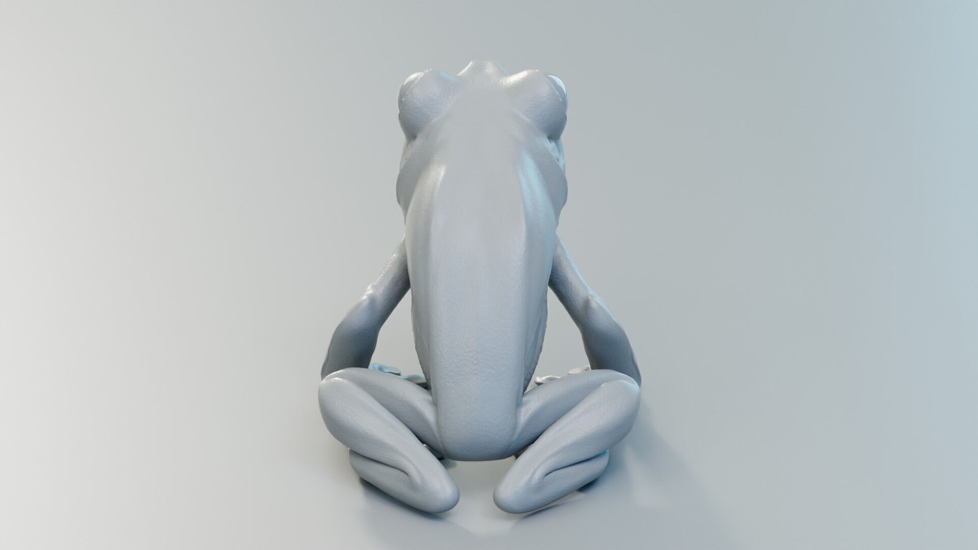 Red Tree Frog Low-poly 3D model_20