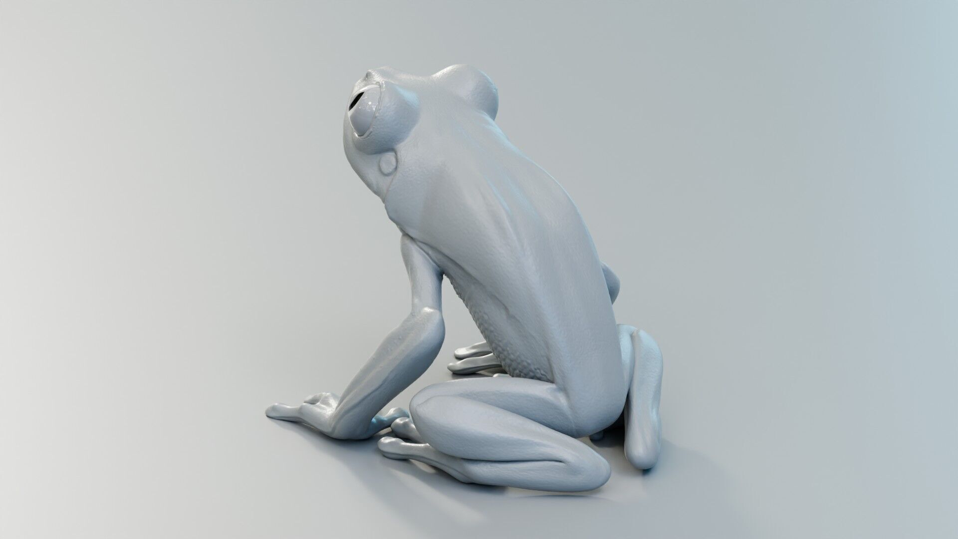 Red Tree Frog Low-poly 3D model_23