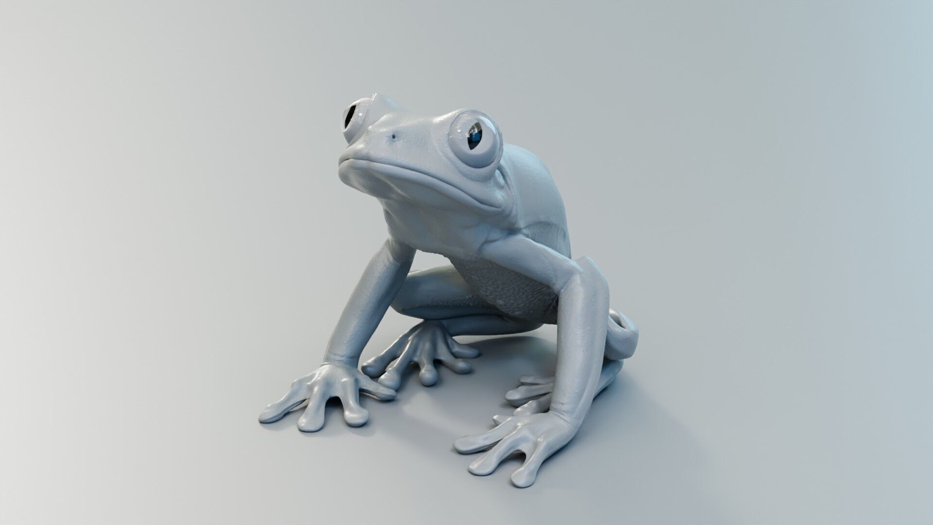Red Tree Frog Low-poly 3D model_1