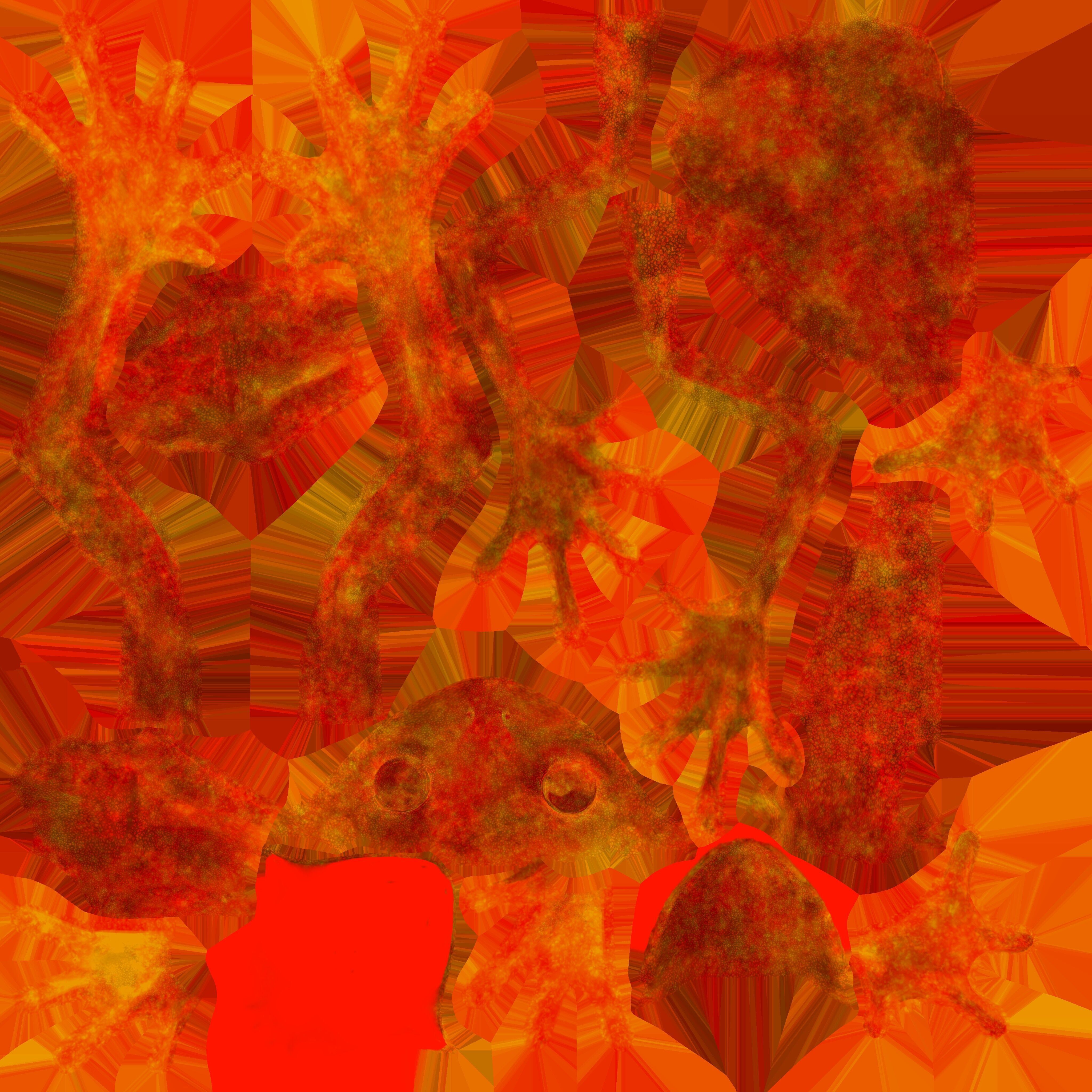 Red Tree Frog Low-poly 3D model_39