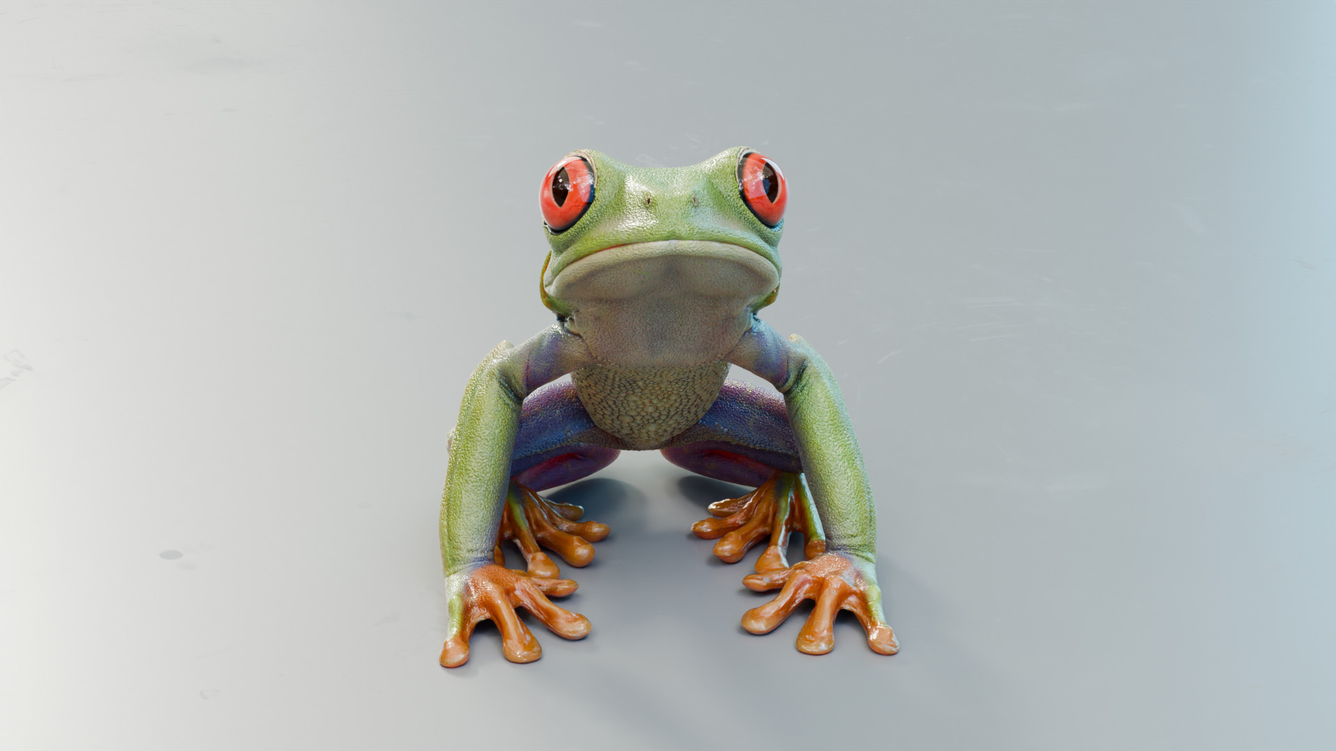 Red Tree Frog Low-poly 3D model_3